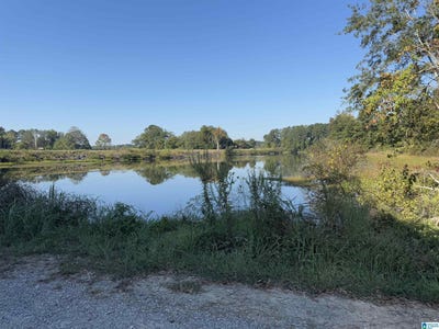 /international/us/264-stines-lane-lot-1-lincoln-al-110102279477/