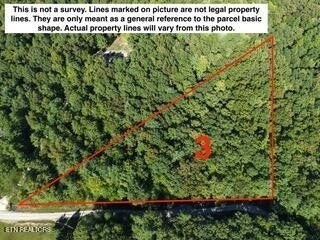/international/us/bear-hollow-rd-oneida-tn-110120038873/