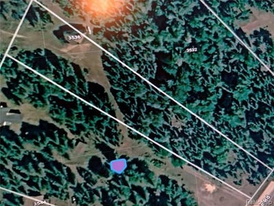 /international/us/3536-n-lakeshore-drive-bois-blanc-twp-mi-110109058733/
