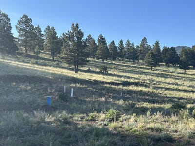 /international/us/lot-16-and-17-saddleback-trail-angel-fire-nm-110093426005/