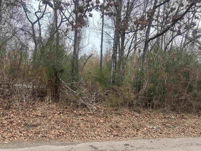 /international/us/burns-road-austin-ar-110105878724/