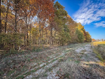 /international/us/county-road-105-hickory-ridge-ar-110103978314/