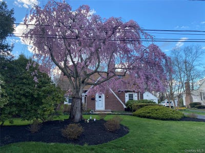 /international/us/83-village-line-road-babylon-ny-110109750793/
