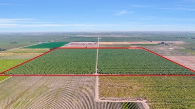 /international/us/13493-road-19-1-2-madera-ca-110101264262/