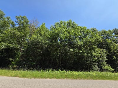 /international/us/s-cottage-rd-barbeau-mi-110109551447/