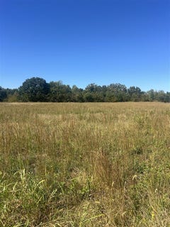 /international/us/hunt-lane-lot-15-adolphus-ky-110120069128/