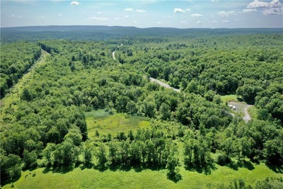 /international/us/route-52-wawarsing-ny-110100389162/?lang=zh-tw