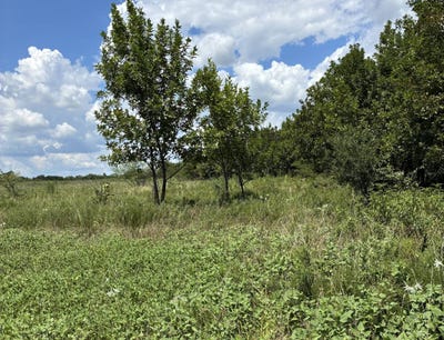 /international/us/turnbull-rd-caddo-ok-110101649139/