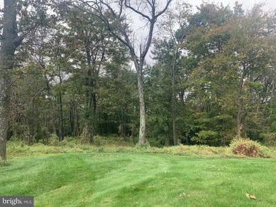 /international/us/aughwick-mc-connellsburg-pa-110110405182/