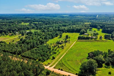 /international/us/26541-old-boggy-road-opp-al-110108707809/