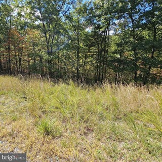 /international/us/lot-21-moundbuilder-loop-hedgesville-wv-110100820884/