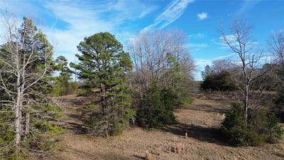 /international/us/562-county-road-4430-winnsboro-tx-110096755843/