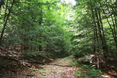 /international/us/0-valley-rd-thurman-ny-110101052444/?lang=en