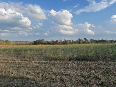 /international/us/0-squirrel-rd-new-ulm-tx-110103723036/