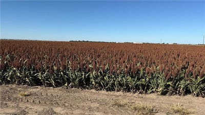 /international/us/meade-county-c-road-ks-110104269404/