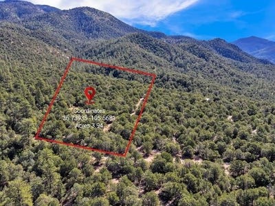 /international/us/upper-pinabete-road-lot-83-questa-nm-110102378341/