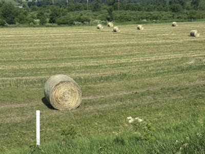 /international/us/55132-250th-street-glenwood-ia-110108356022/