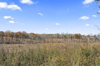 /international/us/co-rd-1067-vinemont-al-110120058233/