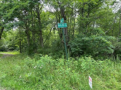 /international/us/-holly-hill-road-rimersburg-pa-110119439605/