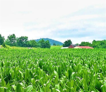 /international/us/8368-allemaengel-road-lot-6-new-tripoli-pa-110119303975/