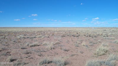 /international/us/tbd-rapture-rd-sun-valley-az-110097754002/