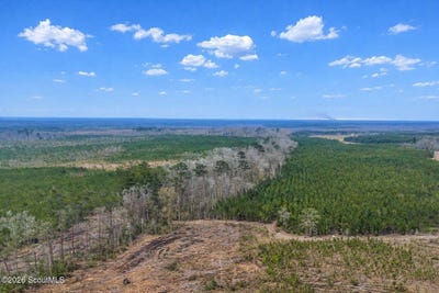 /international/us/highway-121-glennville-ga-110108342902/