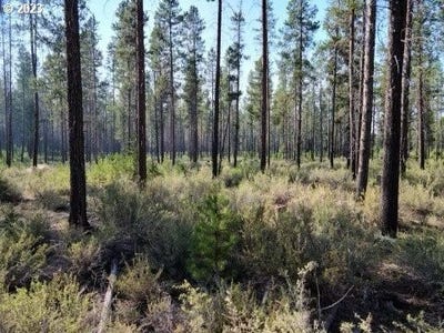/international/us/bitterbrush-ln-crescent-or-110085957752/
