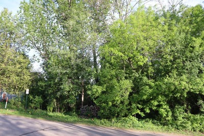 /international/us/on-huron-st-three-lakes-wi-110107060851/