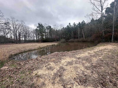 /international/us/county-road-2385-shelbyville-tx-110105779028/