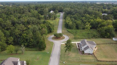 /international/us/2-doe-run-court-pike-road-al-110094109730/