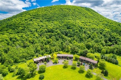 /international/us/16-pinewood-lane-naples-ny-110109117090/
