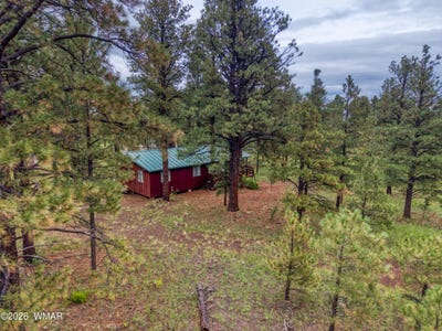 /international/us/3-county-road-n1040-street-eagar-az-110110266245/