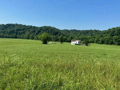 /international/us/439-little-renox-road-burkesville-ky-110096917251/