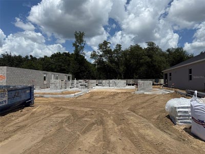 /international/us/469-lady-palm-street-apopka-fl-110101171619/?lang=en
