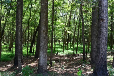 /international/us/0-county-rd-22-auburn-al-110101394422/?lang=fr