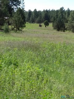 /international/us/344-forest-road-pecos-nm-110107796780/