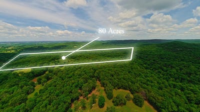 /international/us/298-eaton-run-wasola-mo-110108468625/