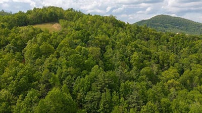 /international/us/tbd-treadway-ridge-rd-moravian-falls-nc-110100747318/?lang=fr