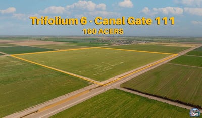 /international/us/0-trifolium-6-canal-gate-111-westmorland-ca-110099965599/