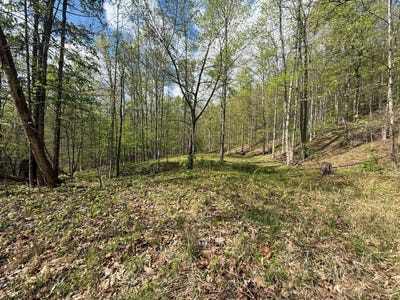 /international/us/tbd-quinnwood-lane-gassaway-wv-110097695294/