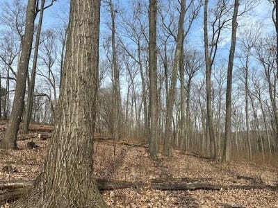 /international/us/tippecanoe-road-knox-pa-110100595129/
