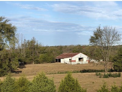 /international/us/southern-heights-road-tupelo-ms-110120667409/
