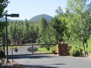/international/us/1021-stone-hollow-loop-williams-az-110107860381/