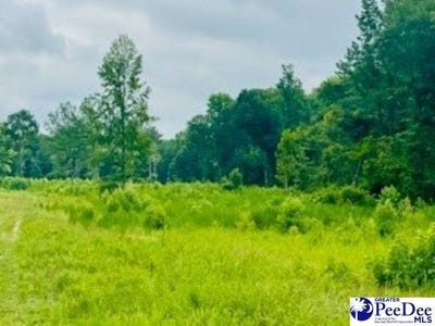 /international/us/0000-santa-anita-road-cheraw-sc-110101047757/