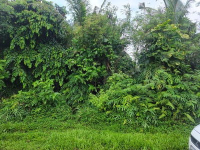 /international/us/lot-189-1new-2-off-umang-road-hagat-gu-110107661882/