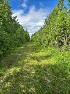 /international/us/10750-groningen-road-sandstone-mn-110108806025/