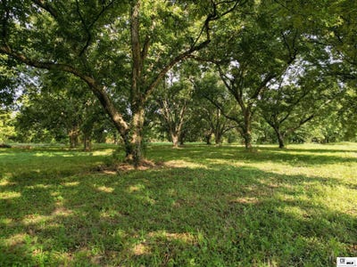 /international/us/highway-65-s-lot-3-pecan-grove-estates-tallulah-la-110108687618/