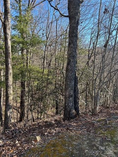 /international/us/210-thistlewynd-trail-hendersonville-nc-110097061803/