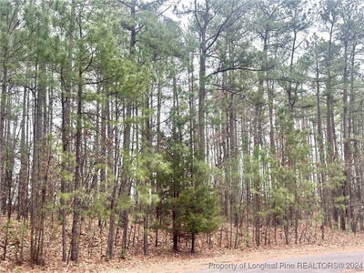 /international/us/139-boulder-drive-west-end-nc-110095566917/