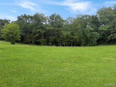 /international/us/lot-45a-mill-creek-lane-washington-mo-110108395296/